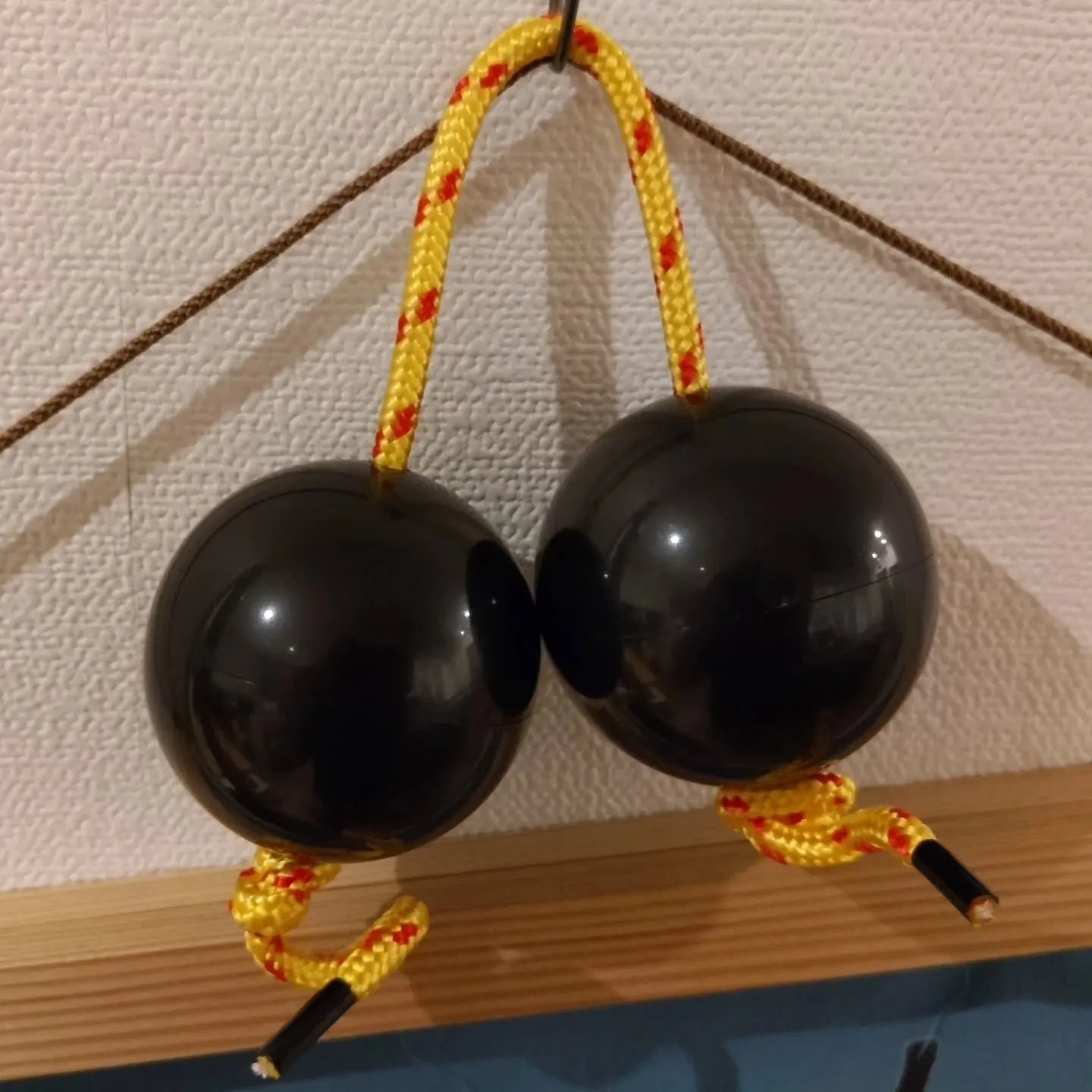 新しい楽器が持ち込まれました。