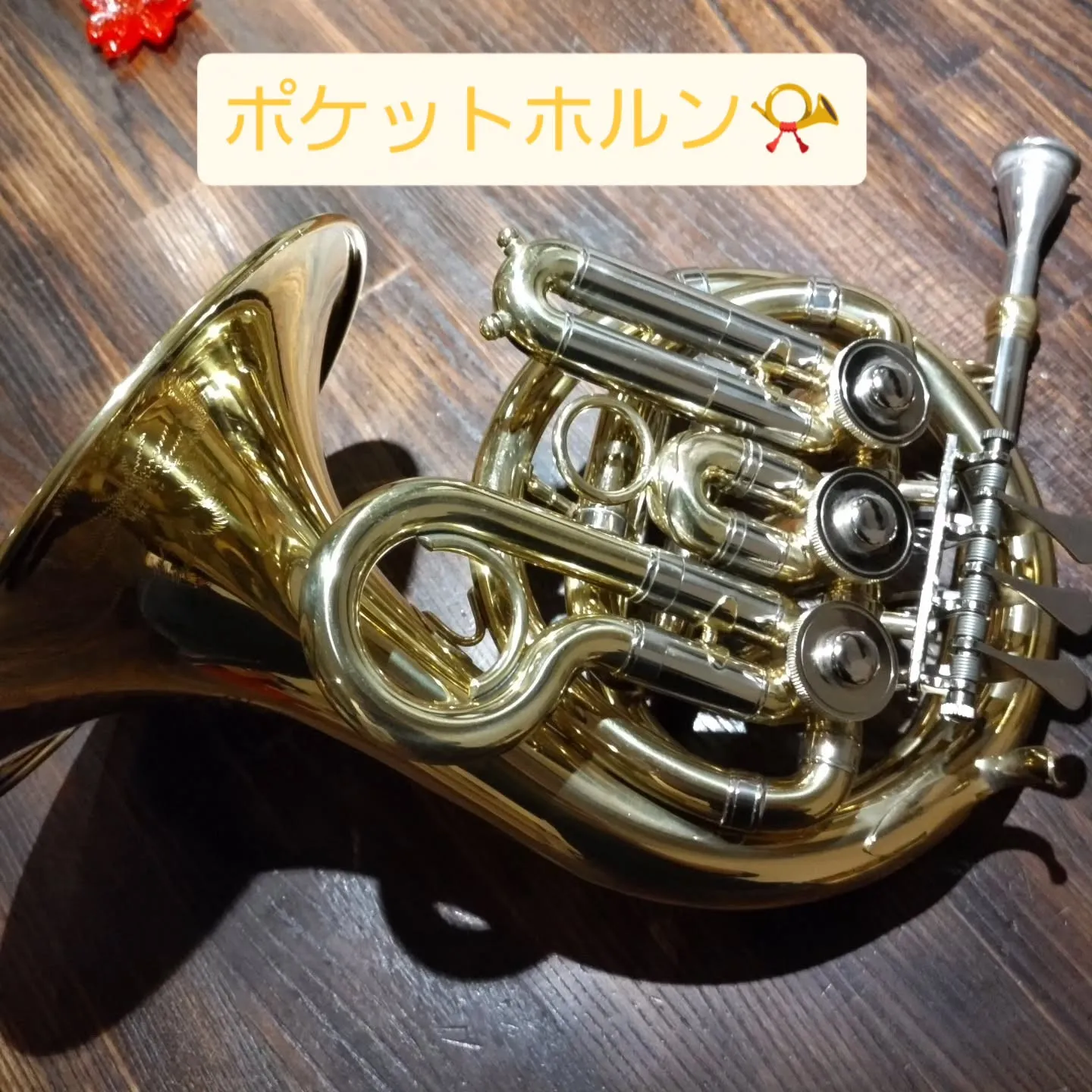 ポケットホルン